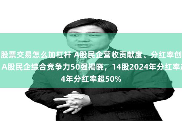 股票交易怎么加杠杆 A股民企营收贡献度、分红率创新高！A股民企综合竞争力50强揭晓，14股2024年分红率超50%