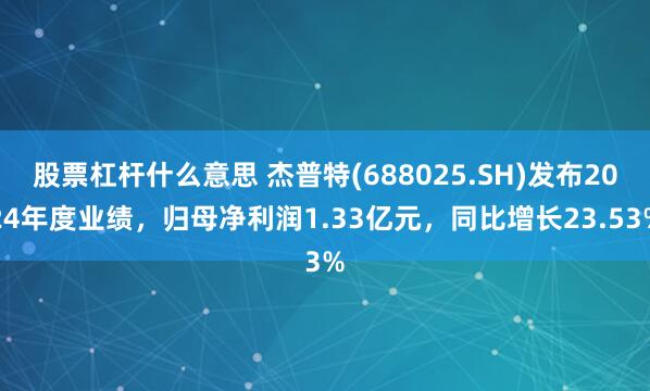 股票杠杆什么意思 杰普特(688025.SH)发布2024年度业绩，归母净利润1.33亿元，同比增长23.53%