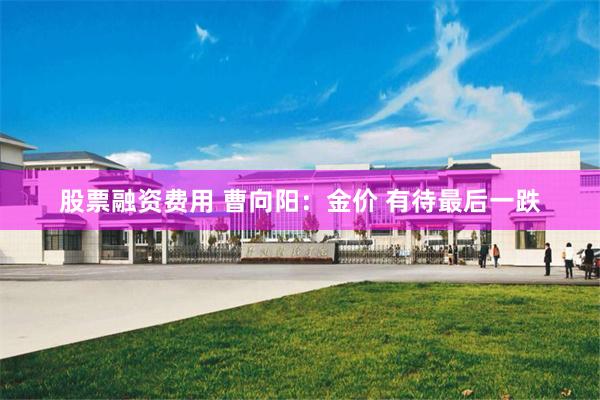 股票融资费用 曹向阳：金价 有待最后一跌