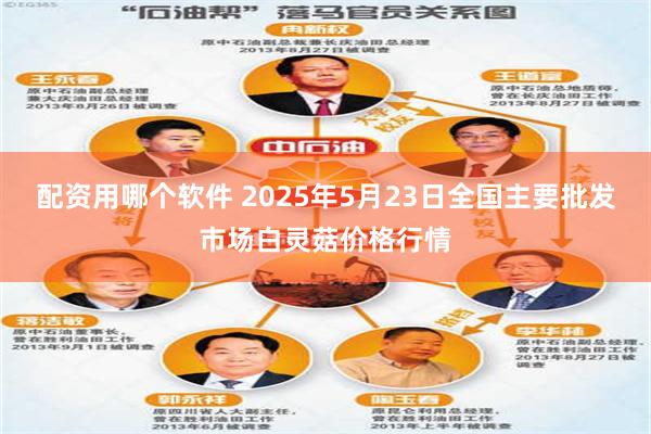 配资用哪个软件 2025年5月23日全国主要批发市场白灵菇价格行情