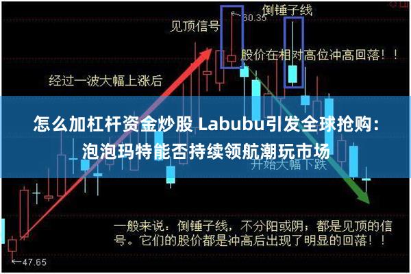 怎么加杠杆资金炒股 Labubu引发全球抢购：泡泡玛特能否持续领航潮玩市场