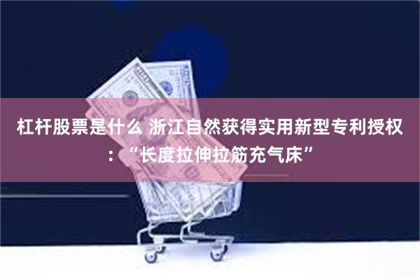 杠杆股票是什么 浙江自然获得实用新型专利授权：“长度拉伸拉筋充气床”